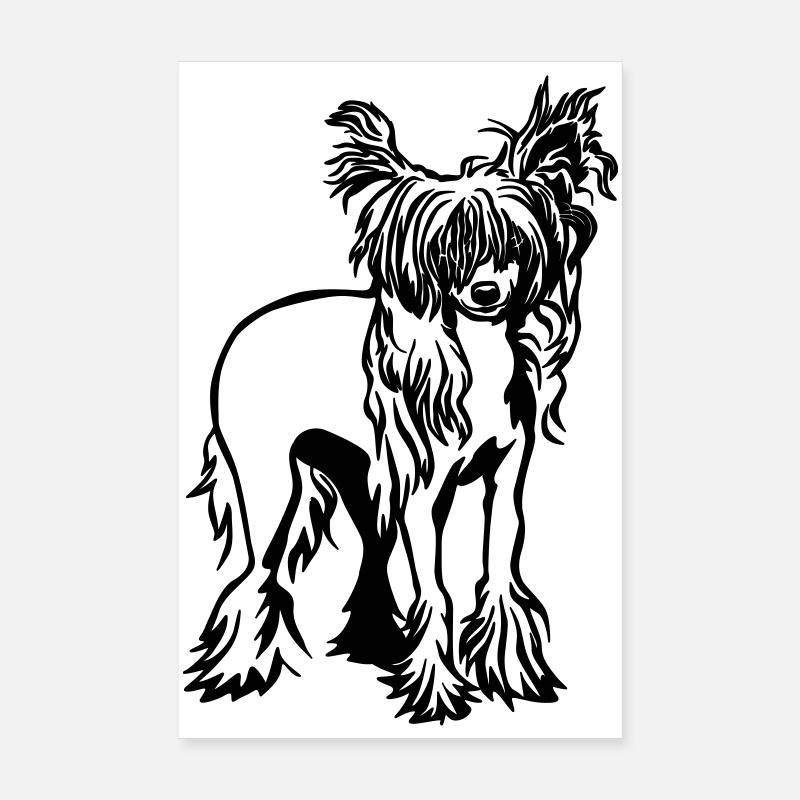 Chien chinois à crête Poster 20 x 30 cm