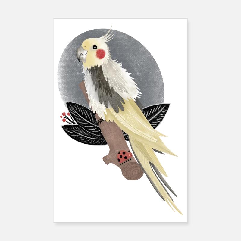 illustration de cacatoès calopsitte Poster 20 x 30 cm