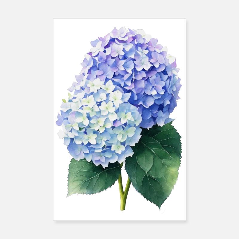 hydrangea Poster 20x30 cm