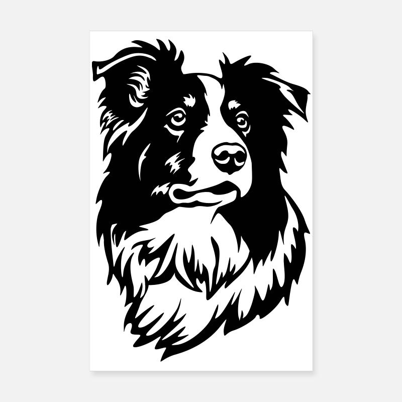 Tête de Border Collie Poster 20 x 30 cm
