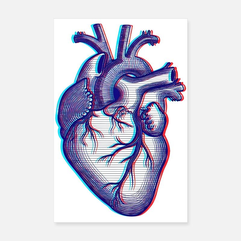 Anatomisk hjerte Poster 20x30 cm