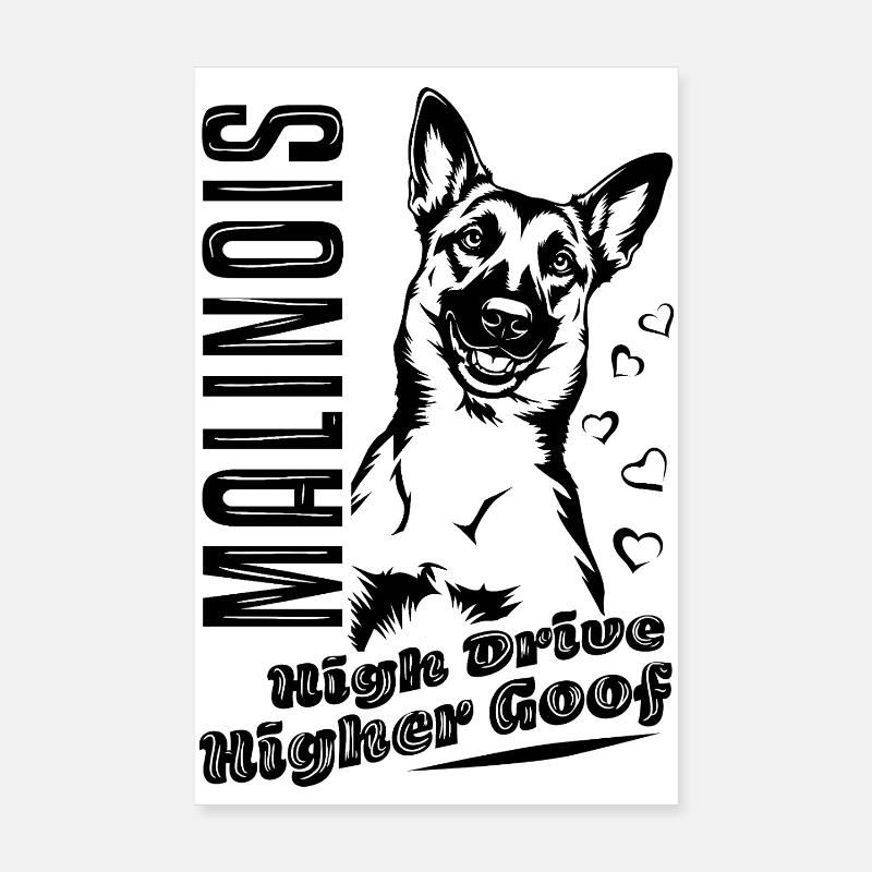 Belgian Malinois High Drive Plus haut Goof Poster 20 x 30 cm