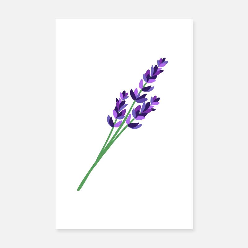 Lavender 1 Poster 8" x 12" (20x30 cm)