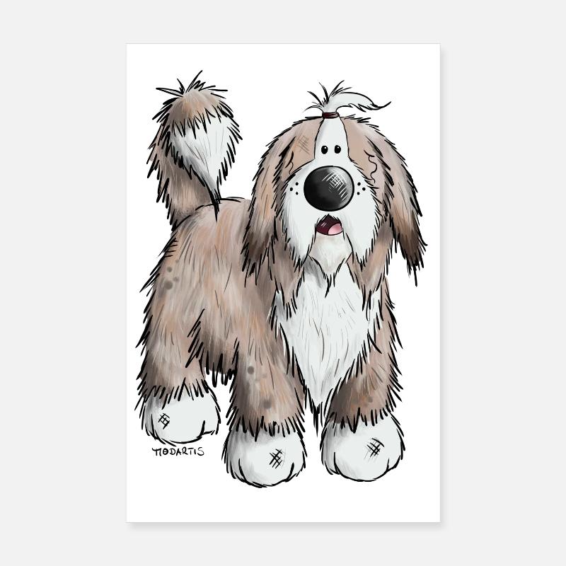 Der Bearded Collie - Poster 20x30 cm - Weiß