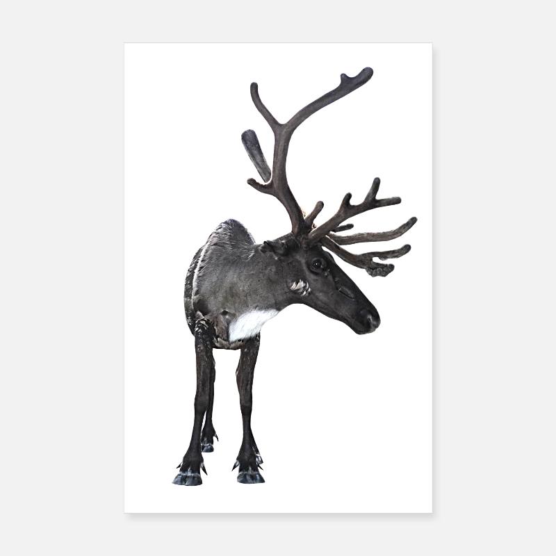 renne Poster 20 x 30 cm