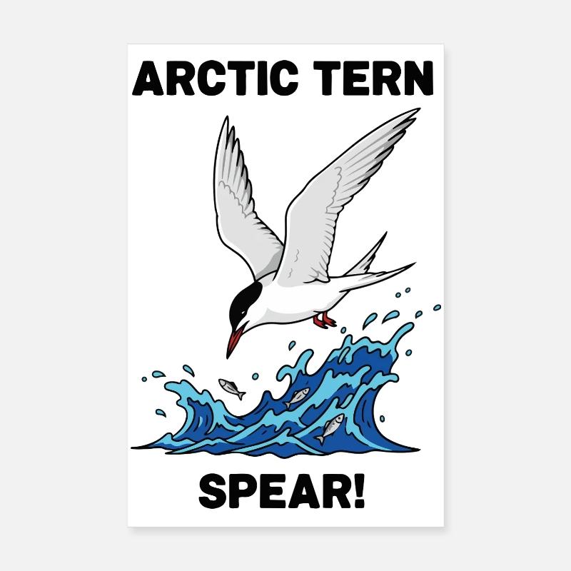 Sterne Arctique Pêche Mer Spear Arctic Tern  Poster 20 x 30 cm