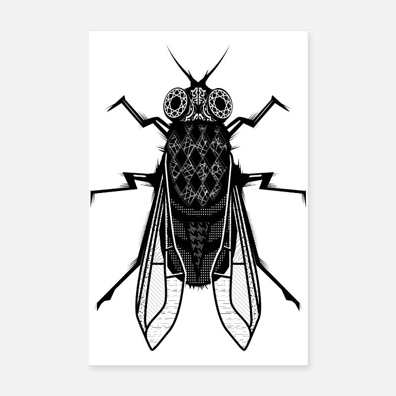 Eine Stubenfliege Poster 20x30 cm