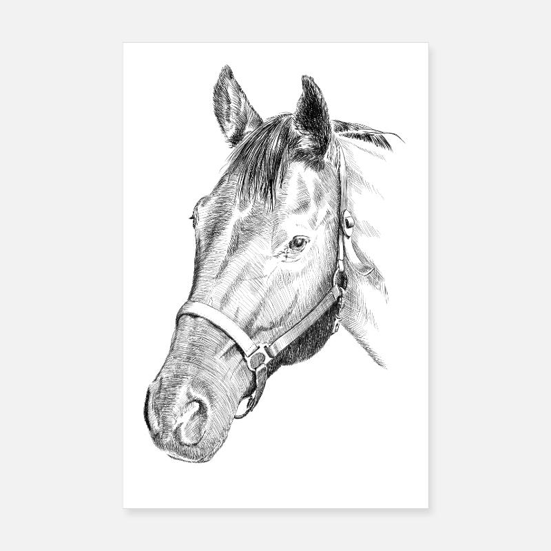 Pferd Poster 20 x 30 cm