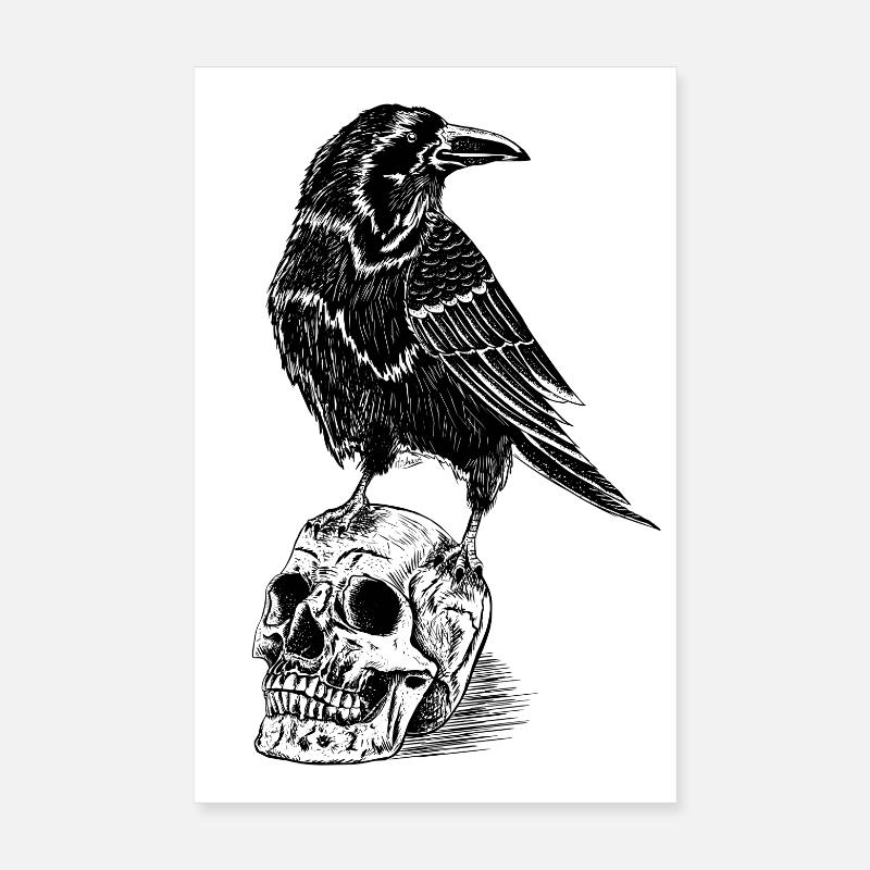 Raven and skull - Poster 20 x 30 cm - blanc
