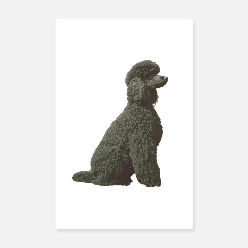 Schwarzer Pudel Poster 20x30 cm