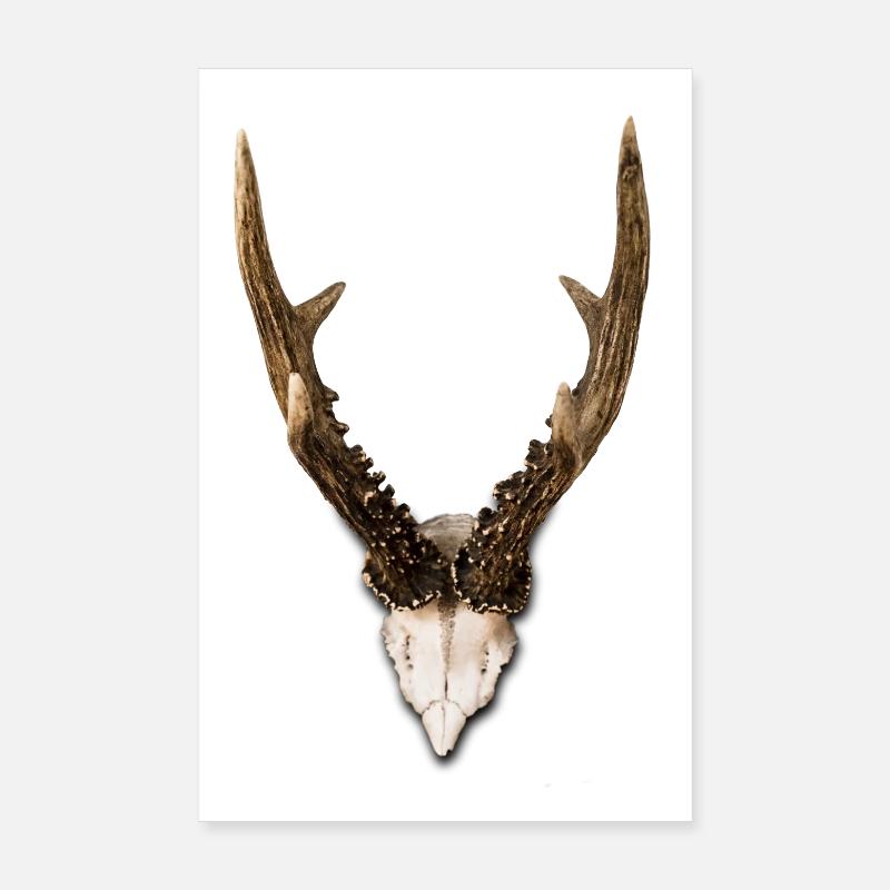 Geweih Poster 20x30 cm