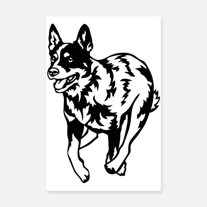 Australian Cattle Dog Poster 20x30 cm