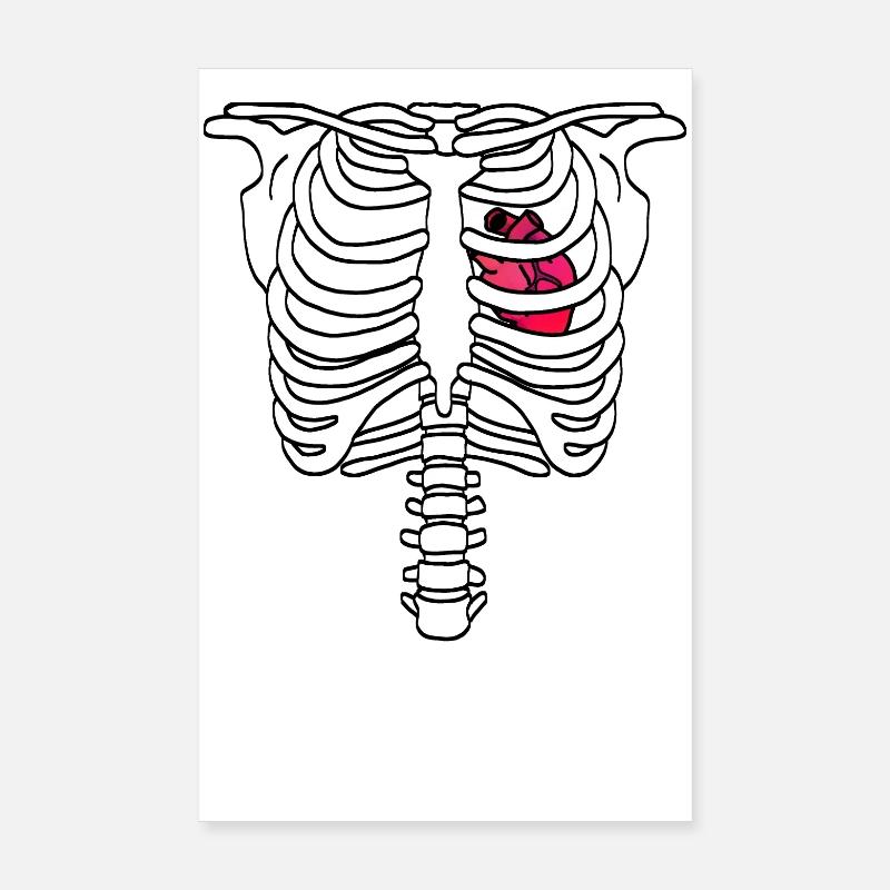 Skelettbrustkorb mit Herz Poster 20x30 cm
