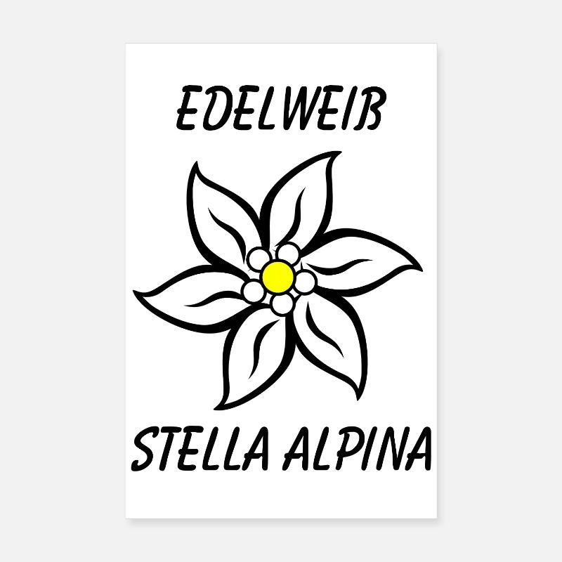 Edelweiss-edelweiss - Poster 20 x 30 cm - blanc