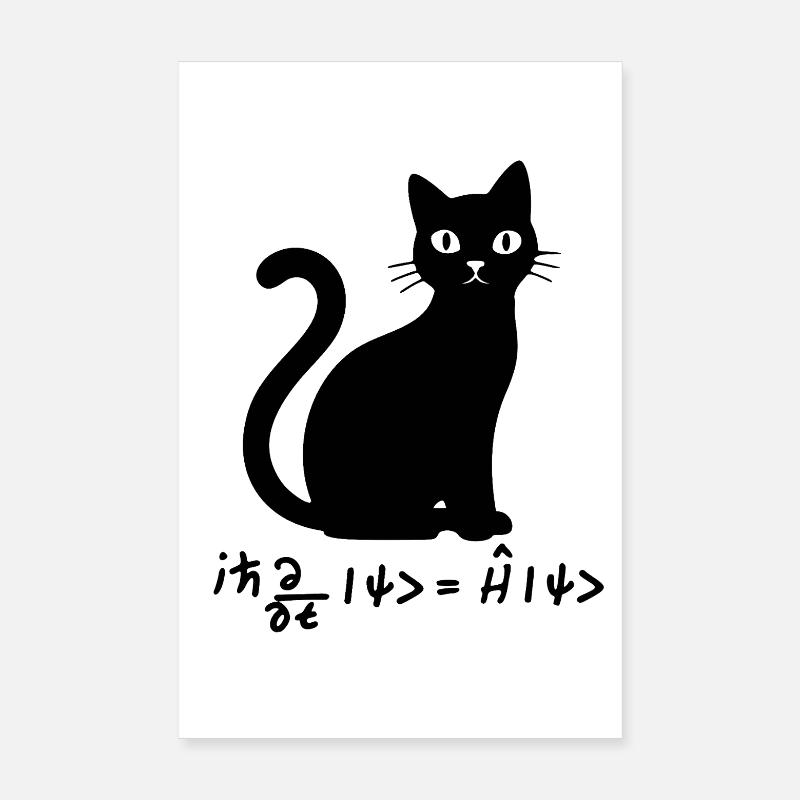 Schödinger's equation Poster 8" x 12" (20x30 cm)