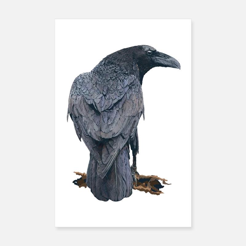 Rabe Poster 20x30 cm