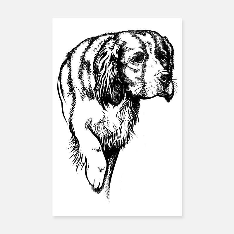 IRW Setter vorstehend Poster 20x30 cm
