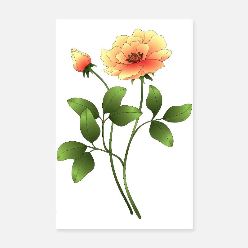 Blume Poster 20x30 cm