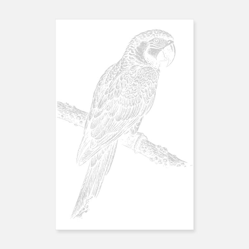 Silhouette de perroquet sur une branche Poster 20 x 30 cm