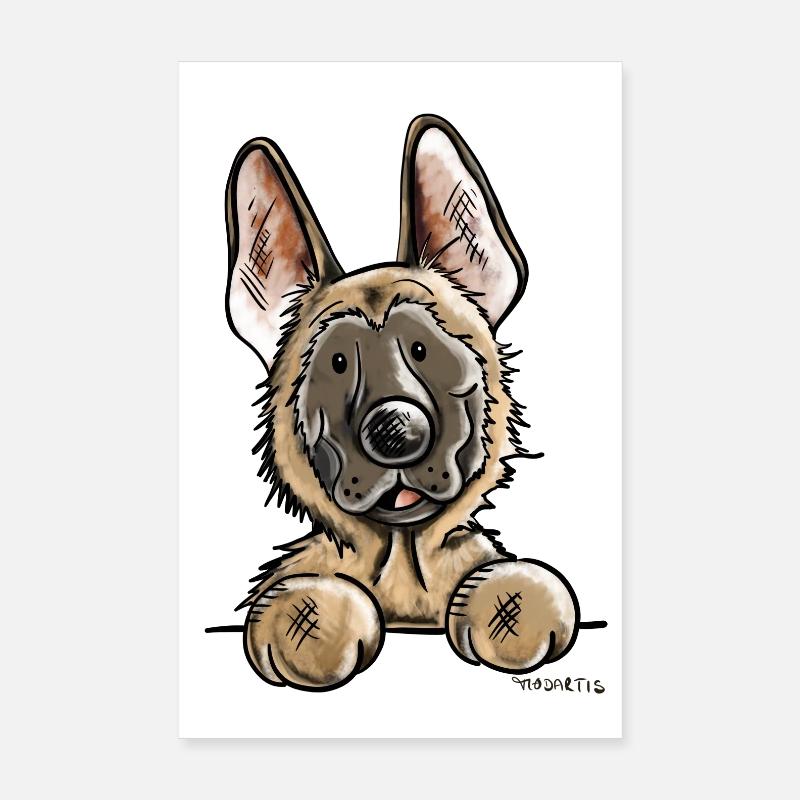 Neugieriger Malinois Poster 20x30 cm