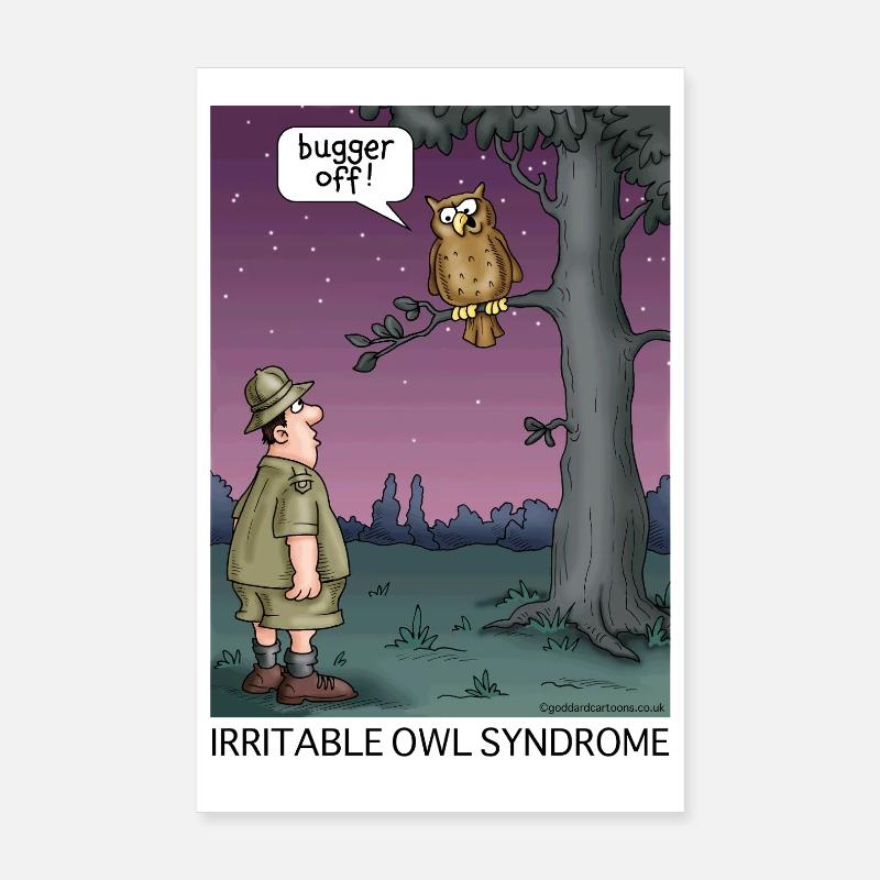 Syndrome de la chouette irritable Poster 20 x 30 cm