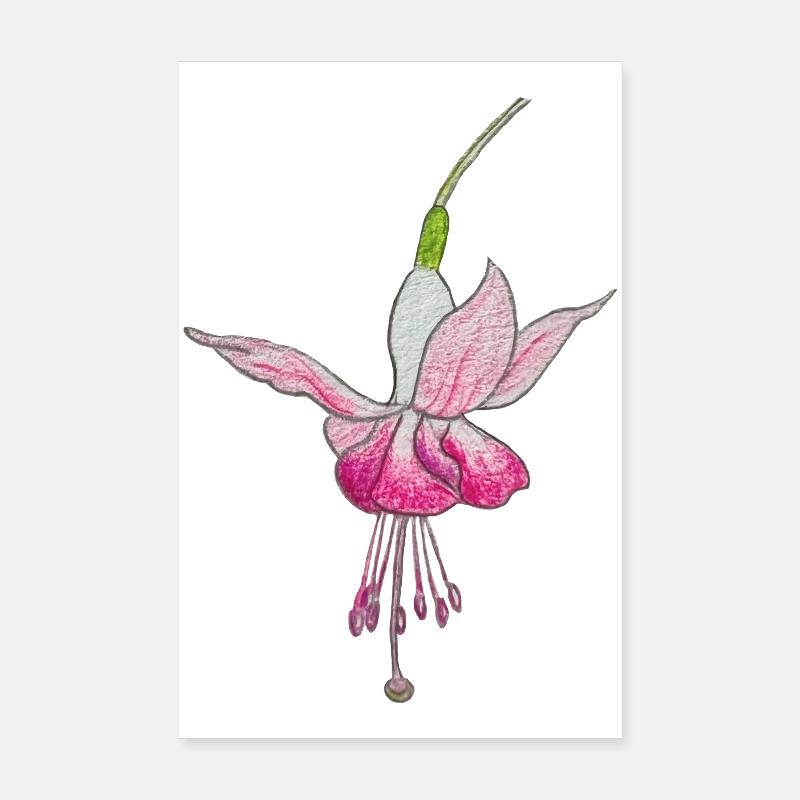 Fleur de fuchsia Poster 20 x 30 cm