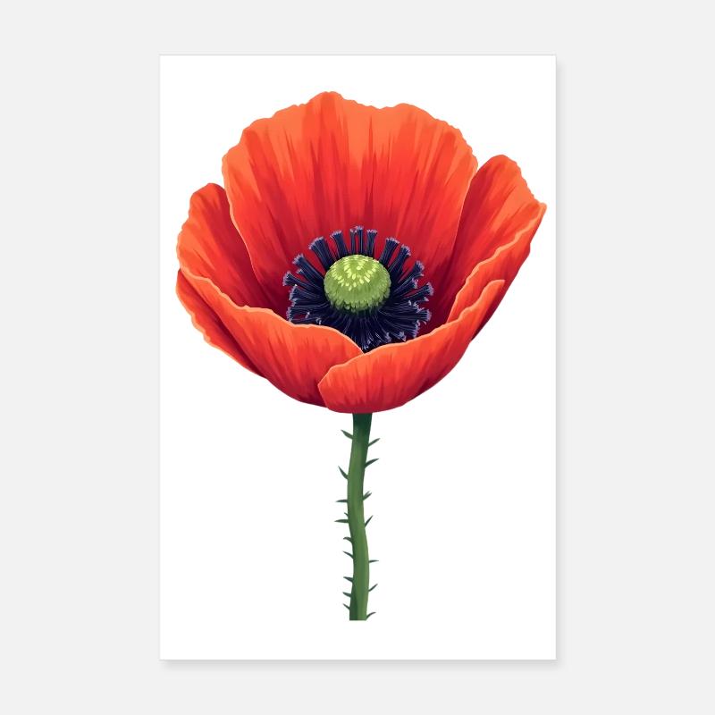 Mohnblume Poster 20x30 cm