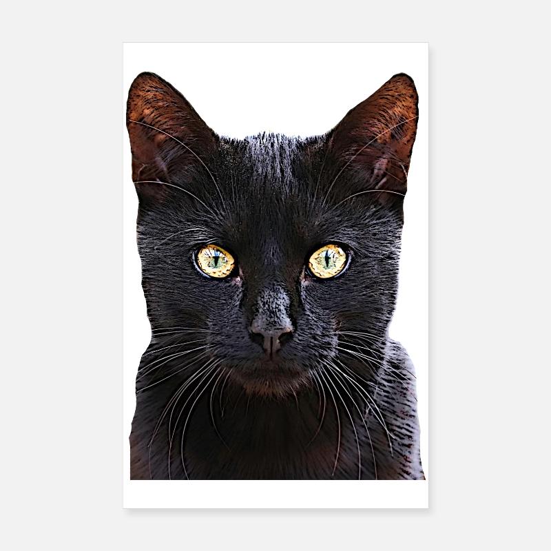 Cat black cat cats cat cats Poster 8" x 12" (20x30 cm)