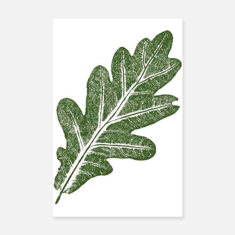Eichenblatt / Grün - Poster 20x30 cm - Weiß