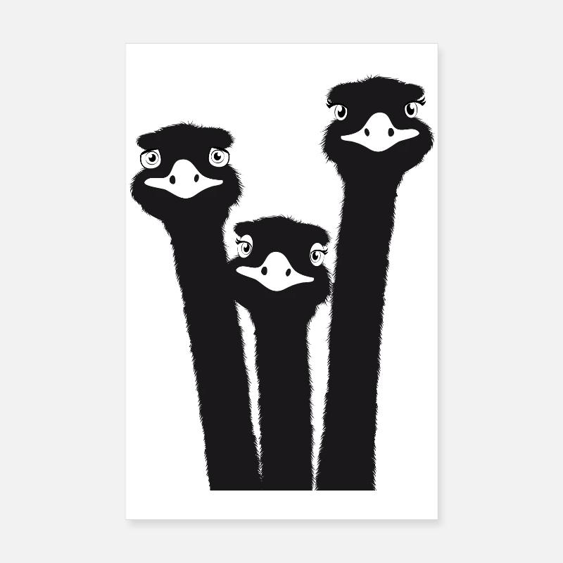 Nandu, tête d’autruche, émeu, autruche Poster 20 x 30 cm