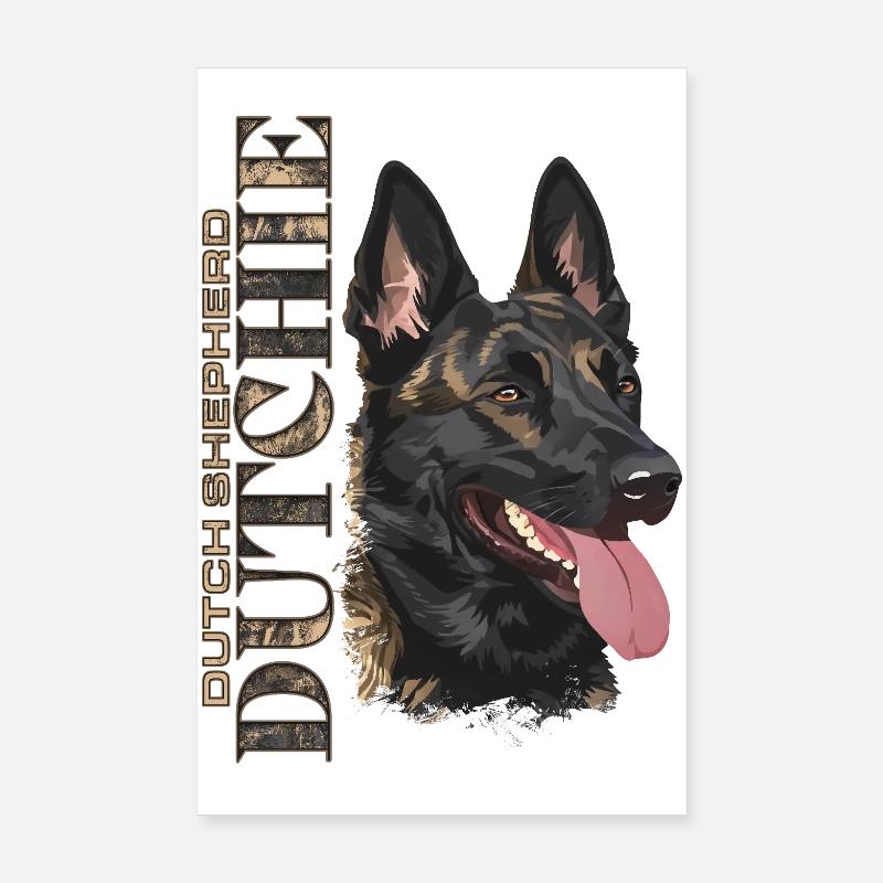 Dutchie - Dutch Shepherd Dog Poster 8" x 12" (20x30 cm)