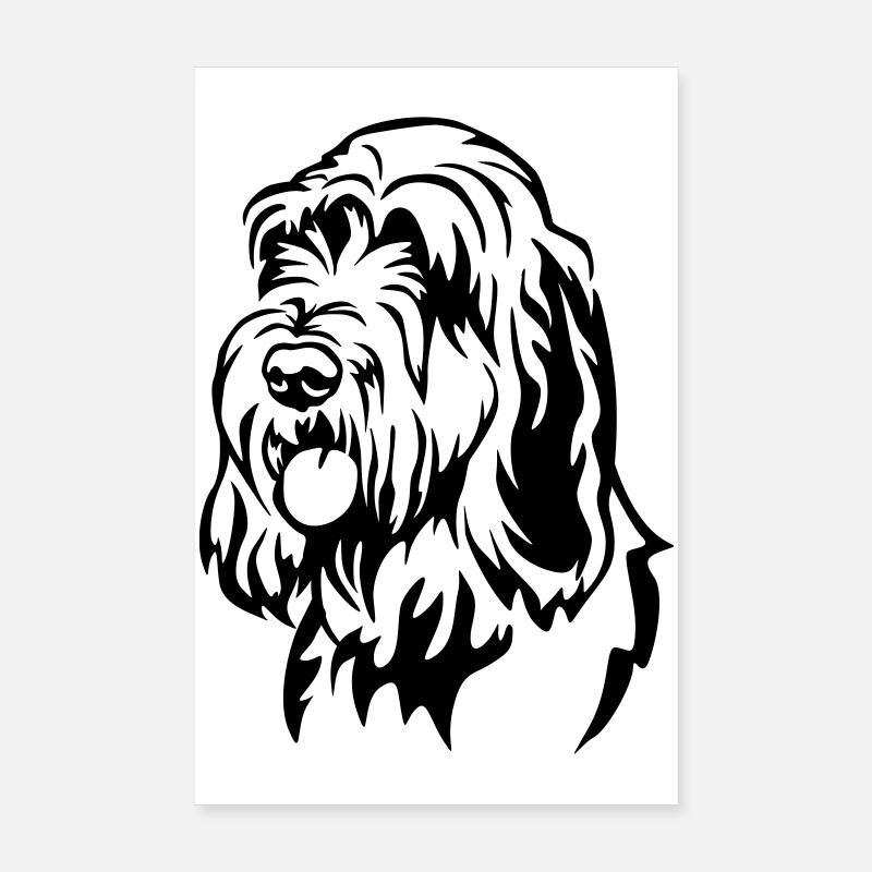 Tête de Spinone Italiano Poster 20 x 30 cm