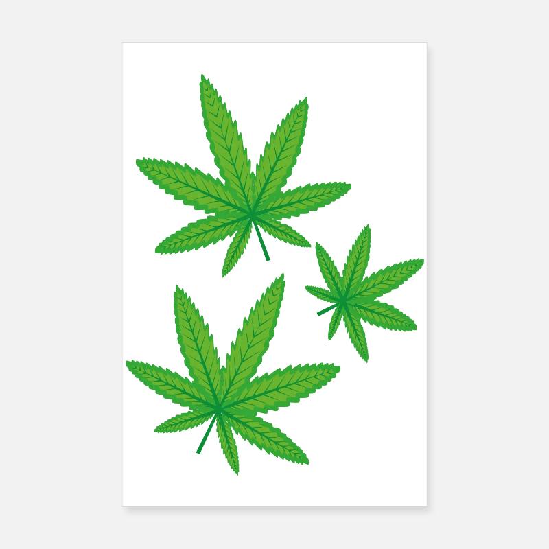 Feuilles de cannabis vertes Poster 20 x 30 cm