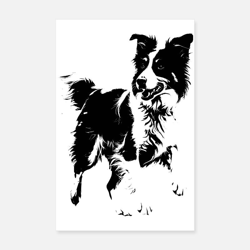 chien de race border collie Poster 20 x 30 cm