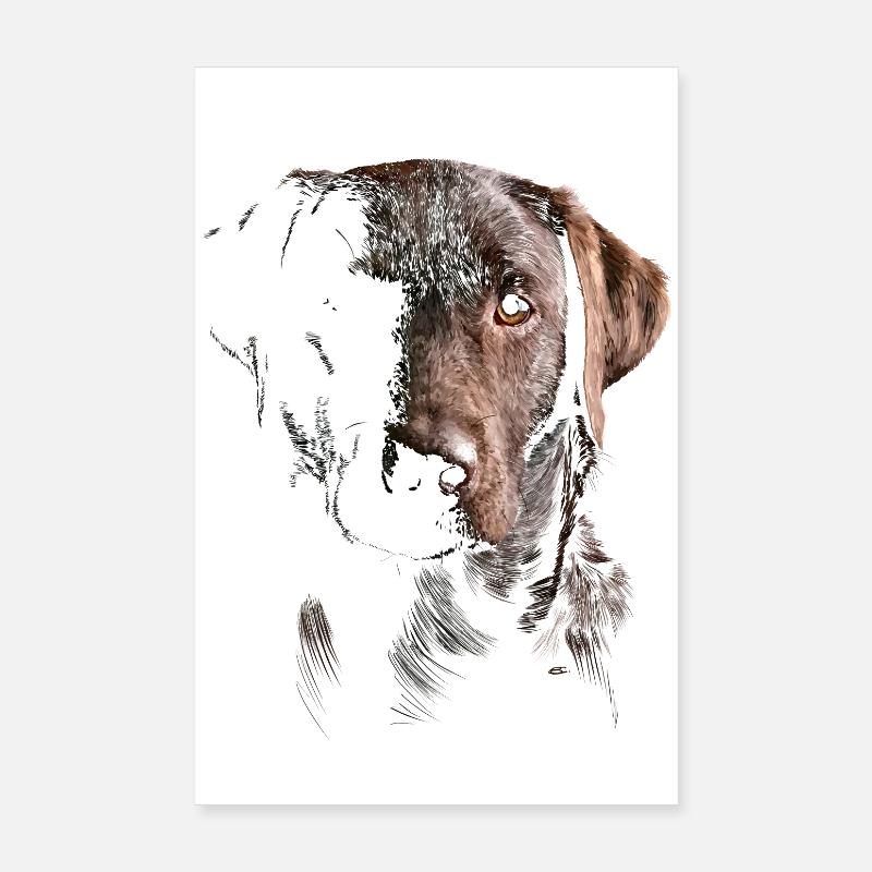 Labrador Poster 20x30 cm