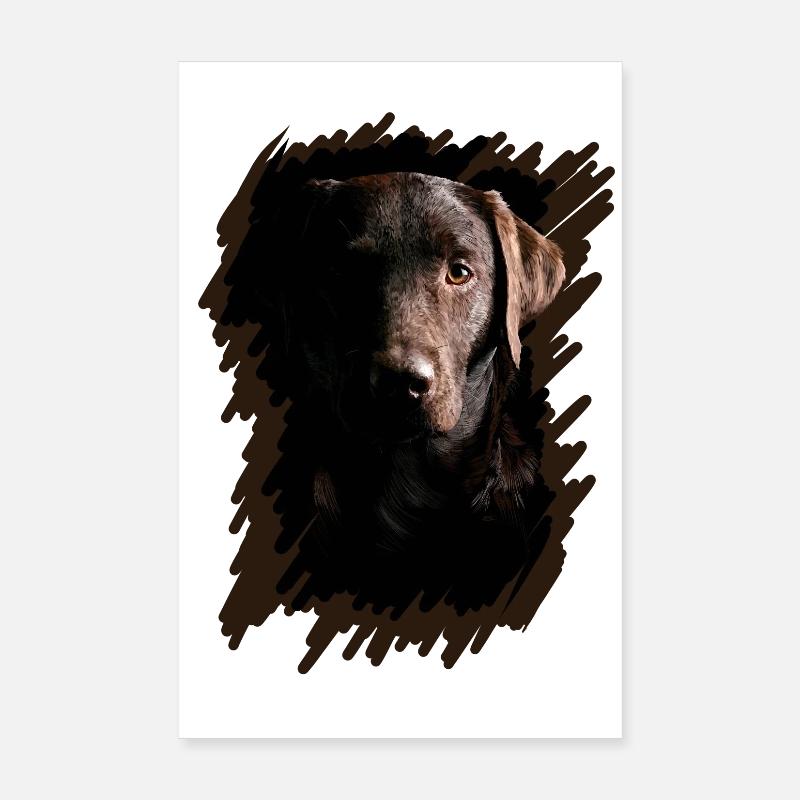 Labrador - Poster 20 x 30 cm - blanc