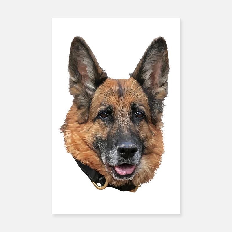 Chien de berger Poster 20 x 30 cm