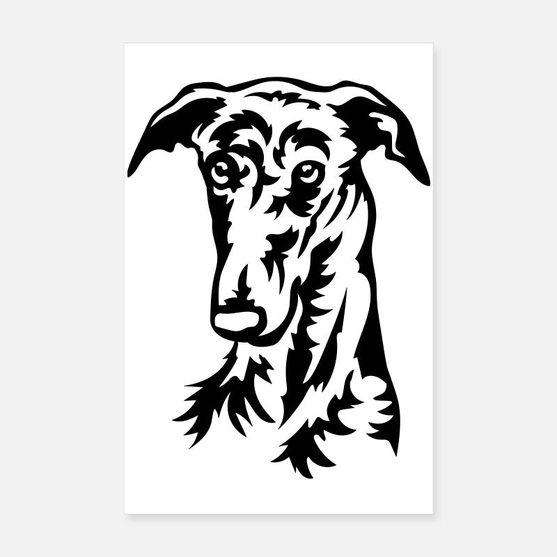 Galgo Kopf Poster 20x30 cm