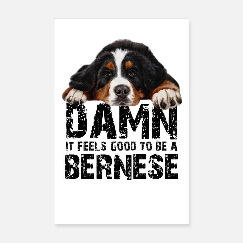 Bouvier bernois Poster 20 x 30 cm