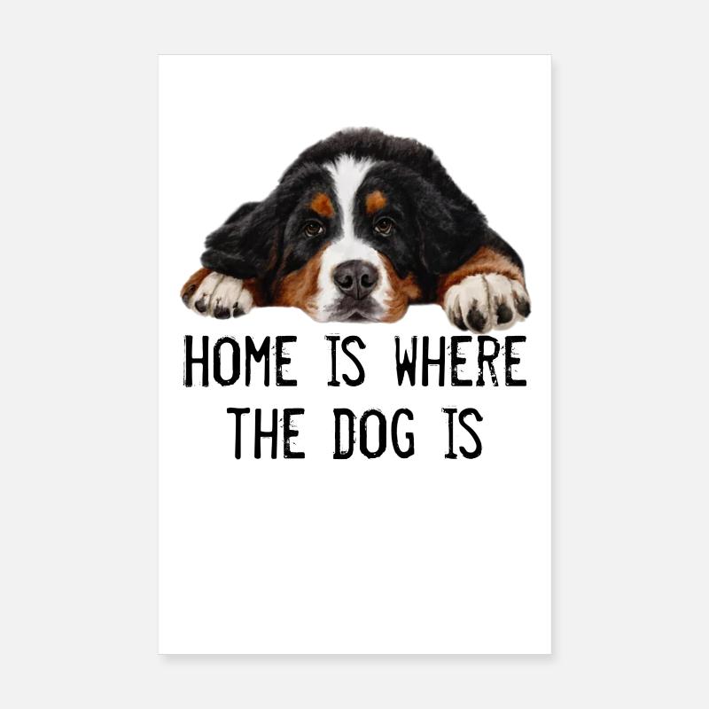 Berner Sennenhund - Poster 20x30 cm - Weiß