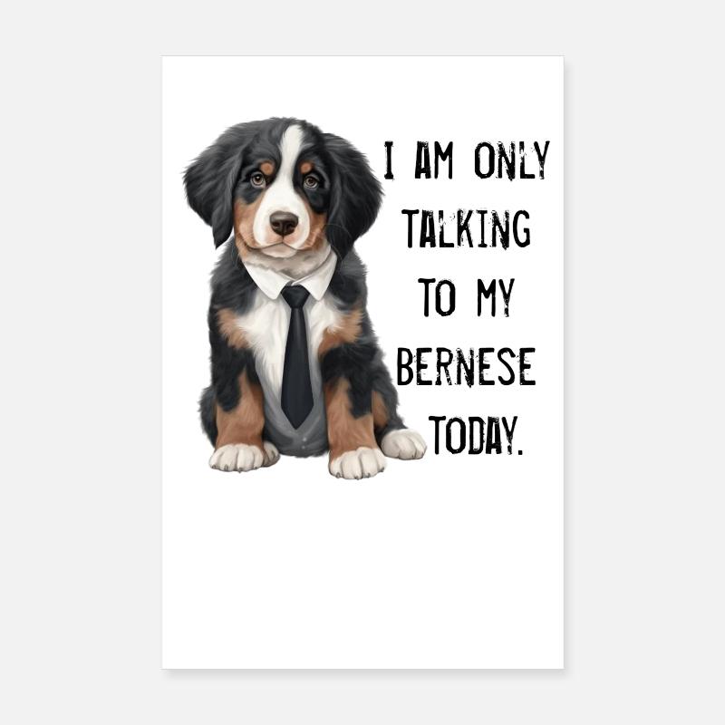 Bouvier bernois Poster 20 x 30 cm