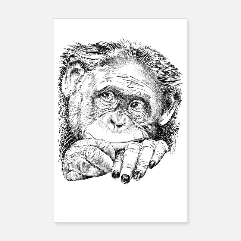 Affe Poster 20x30 cm