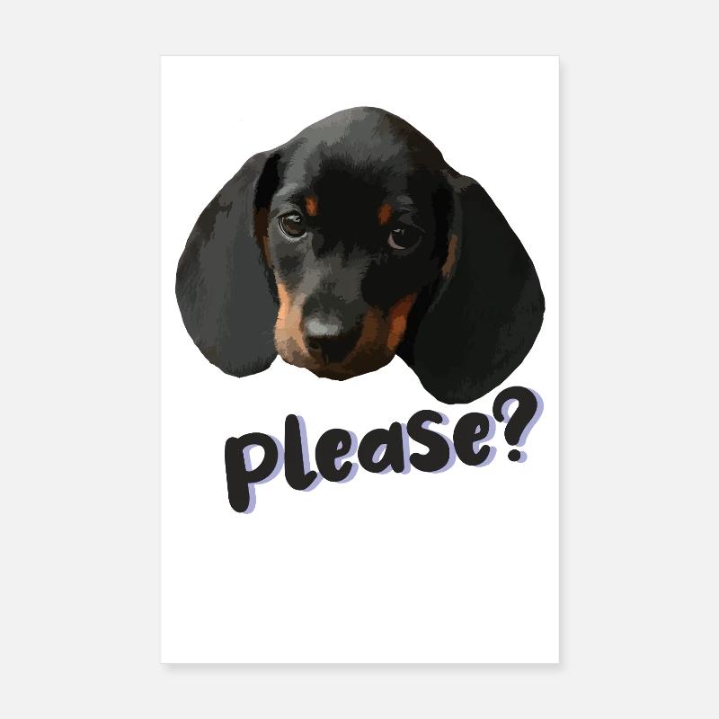 Dackelblick Bitte – Hundeporträt Poster 20x30 cm