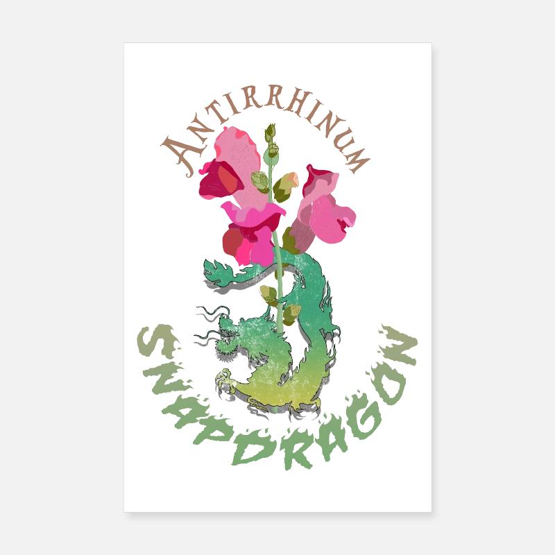 Fleurs de dragon - Poster 20 x 30 cm - blanc