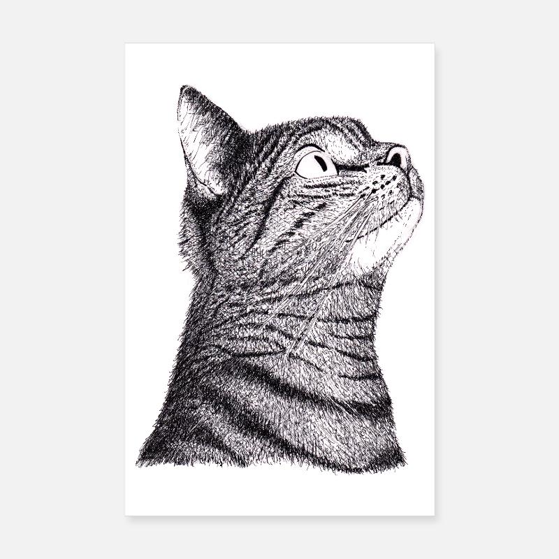 Katze Poster 20x30 cm