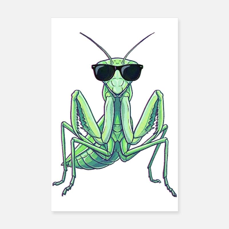 Praying Mantis Kung Fu Martial Arts Poster 8" x 12" (20x30 cm)
