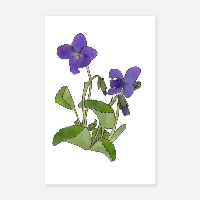 violet - Poster 20 x 30 cm - blanc
