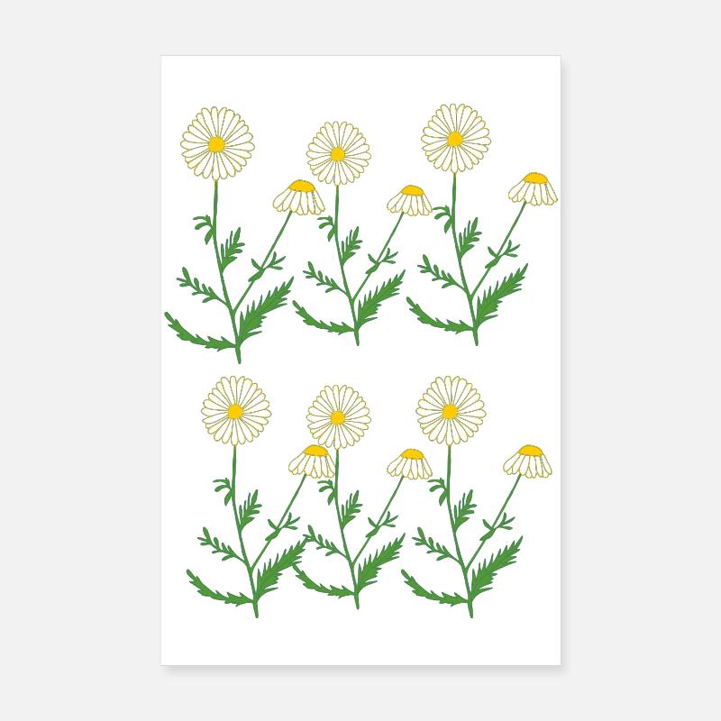 camomile Poster 8" x 12" (20x30 cm)