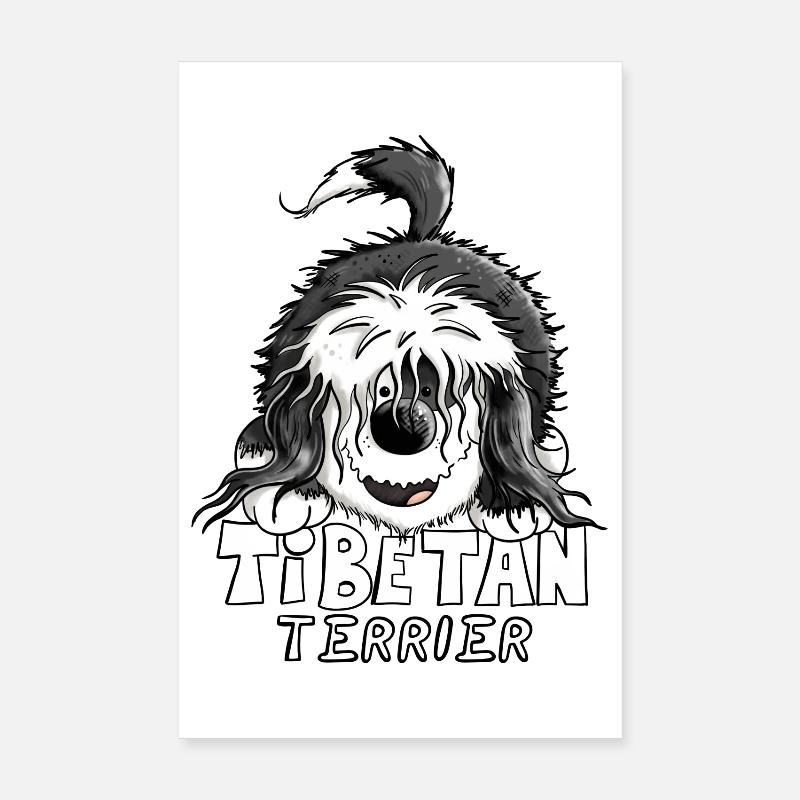 Mignon Terrier tibétain - Poster 20 x 30 cm - blanc