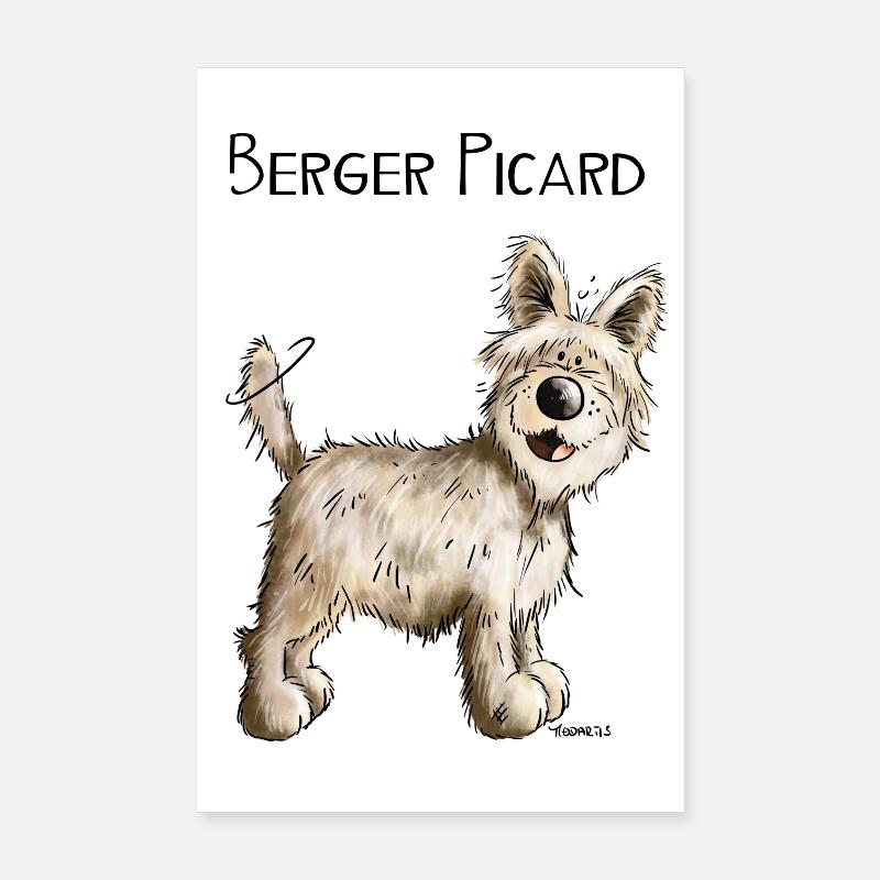 Berger Picard - Chien- Cadeau - Poster 20 x 30 cm - blanc